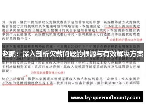 赵鹏：深入剖析欠薪问题的根源与有效解决方案